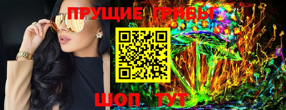 купить наркотики сайты  Псилоцибиновые грибы мицелий  Вход с VPN  Красный Сулин 