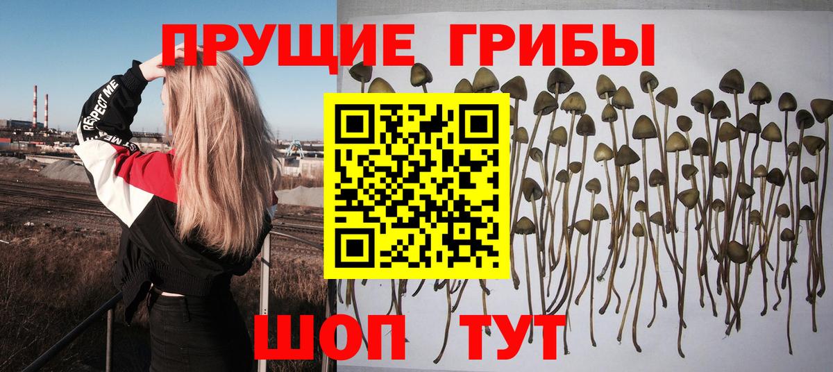Галлюциногенные грибы MAGIC MUSHROOMS Красный Сулин
